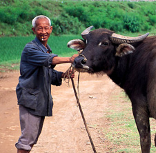 小型飼料顆粒機(jī),農(nóng)民圓夢(mèng)！